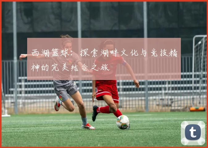 西湖篮球：探索湖畔文化与竞技精神的完美结合之旅