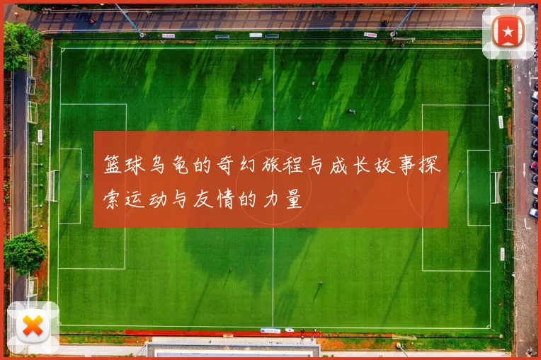 篮球乌龟的奇幻旅程与成长故事探索运动与友情的力量