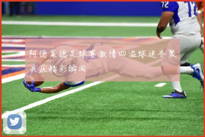 阿德莱德足球赛激情四溢球迷齐聚共庆精彩瞬间