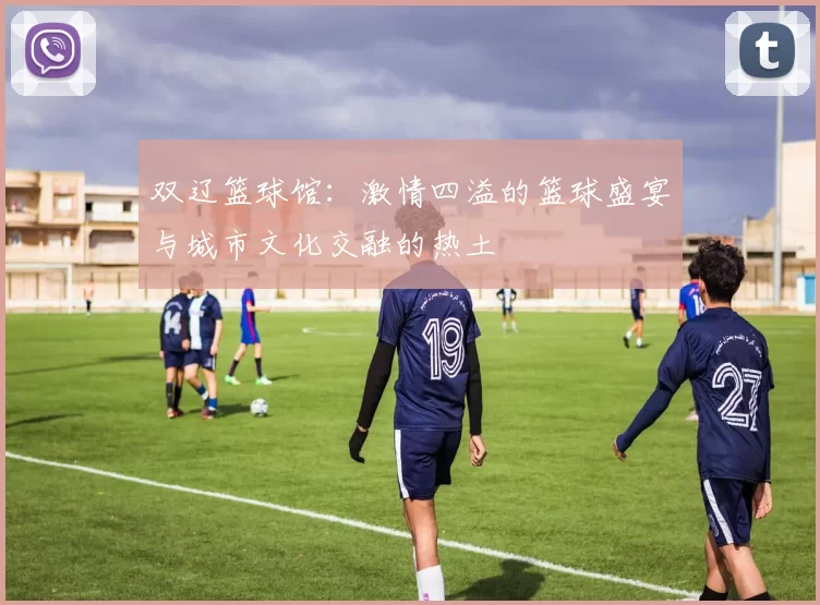双辽篮球馆：激情四溢的篮球盛宴与城市文化交融的热土